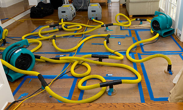 Professional Crawl Space Water Removal technician working in Beach City, OH